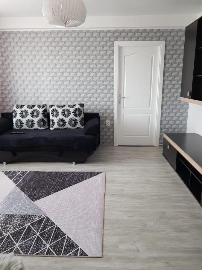 Ana Apartament Râmnicu Vâlcea Kültér fotó