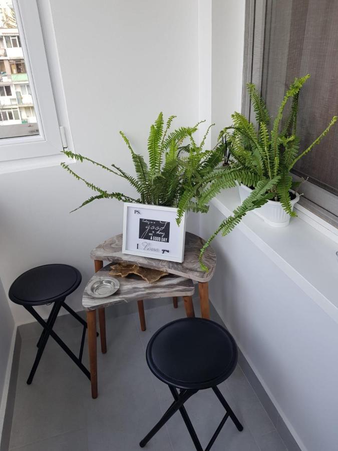Ana Apartament Râmnicu Vâlcea Kültér fotó
