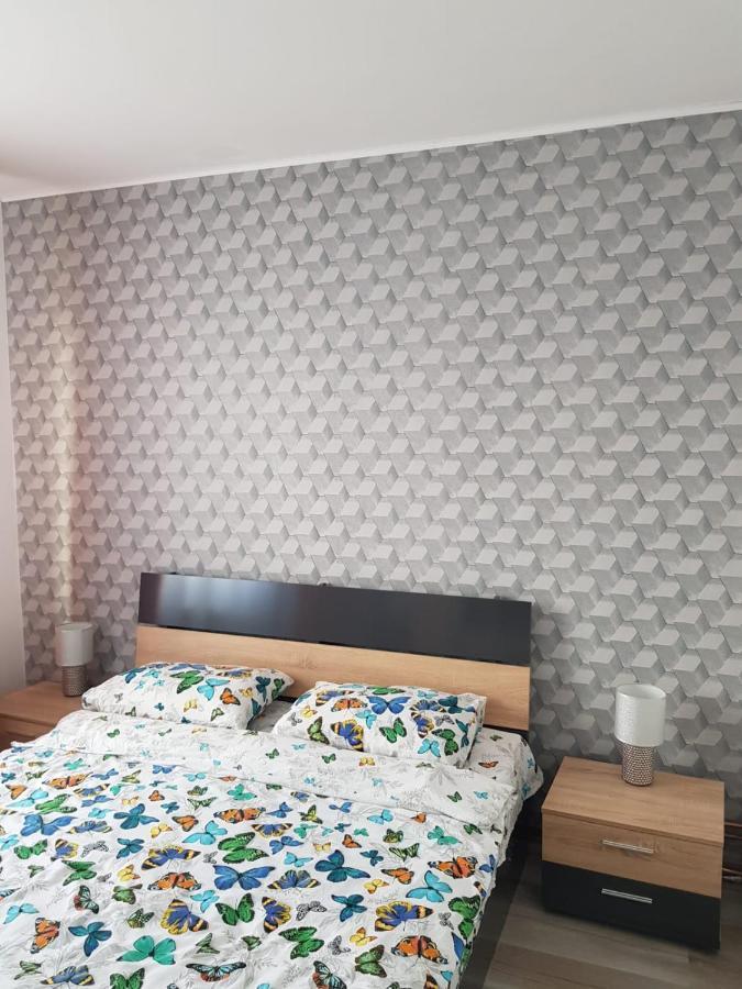 Ana Apartament Râmnicu Vâlcea Kültér fotó