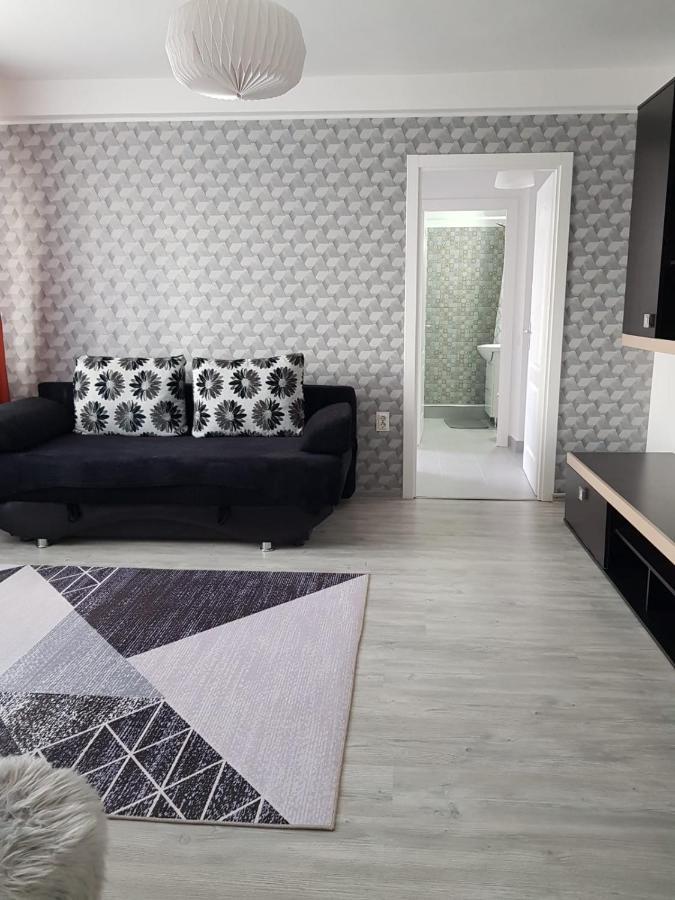 Ana Apartament Râmnicu Vâlcea Kültér fotó