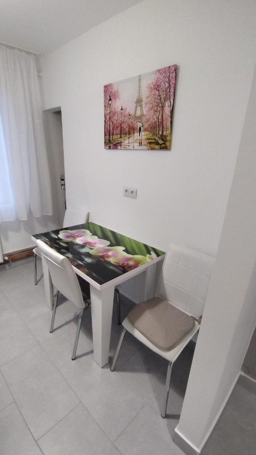 Ana Apartament Râmnicu Vâlcea Kültér fotó