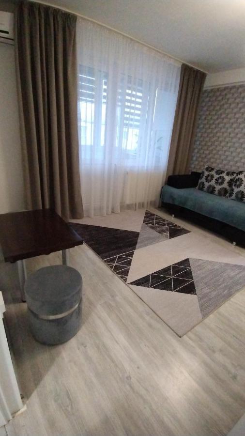 Ana Apartament Râmnicu Vâlcea Kültér fotó